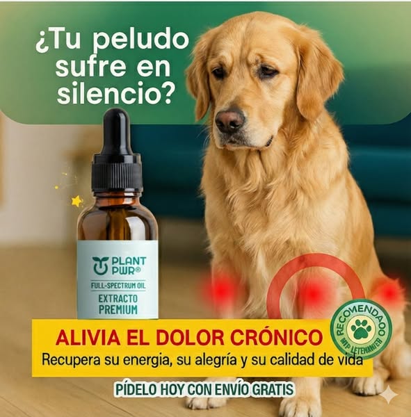 GOTAS ANALGÉSICAS PLANT PWR